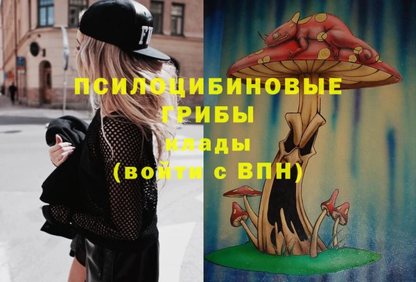 амф Абаза