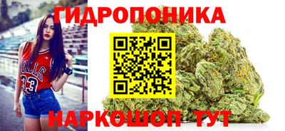 ГАЛЛЮЦИНОГЕННЫЕ ГРИБЫ Нальчик