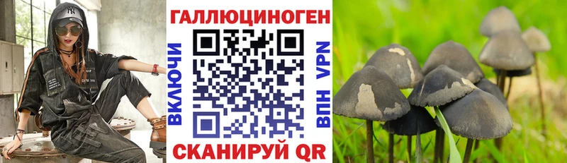 Псилоцибиновые грибы GOLDEN TEACHER  Узловая 